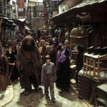 1 harry potter et hagrid
