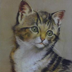 'Le chat' ~ Technique et Style Savonarola