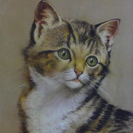 'Le chat' ~ Technique et Style Savonarola