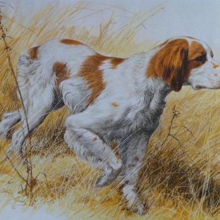 'Chien de chasse' ~ Technique et Style Savonarola