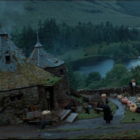 4 la cabane d hagrid
