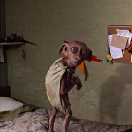 5 dobby chez harry