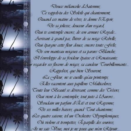 'Les quatre saisons' ~ Poésie